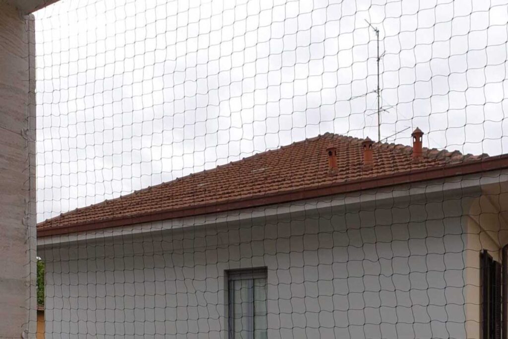 Disinfestazioni Cimici da letti Cologno Monzese