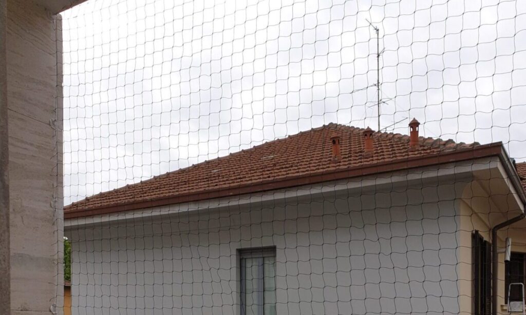 SERVIZI